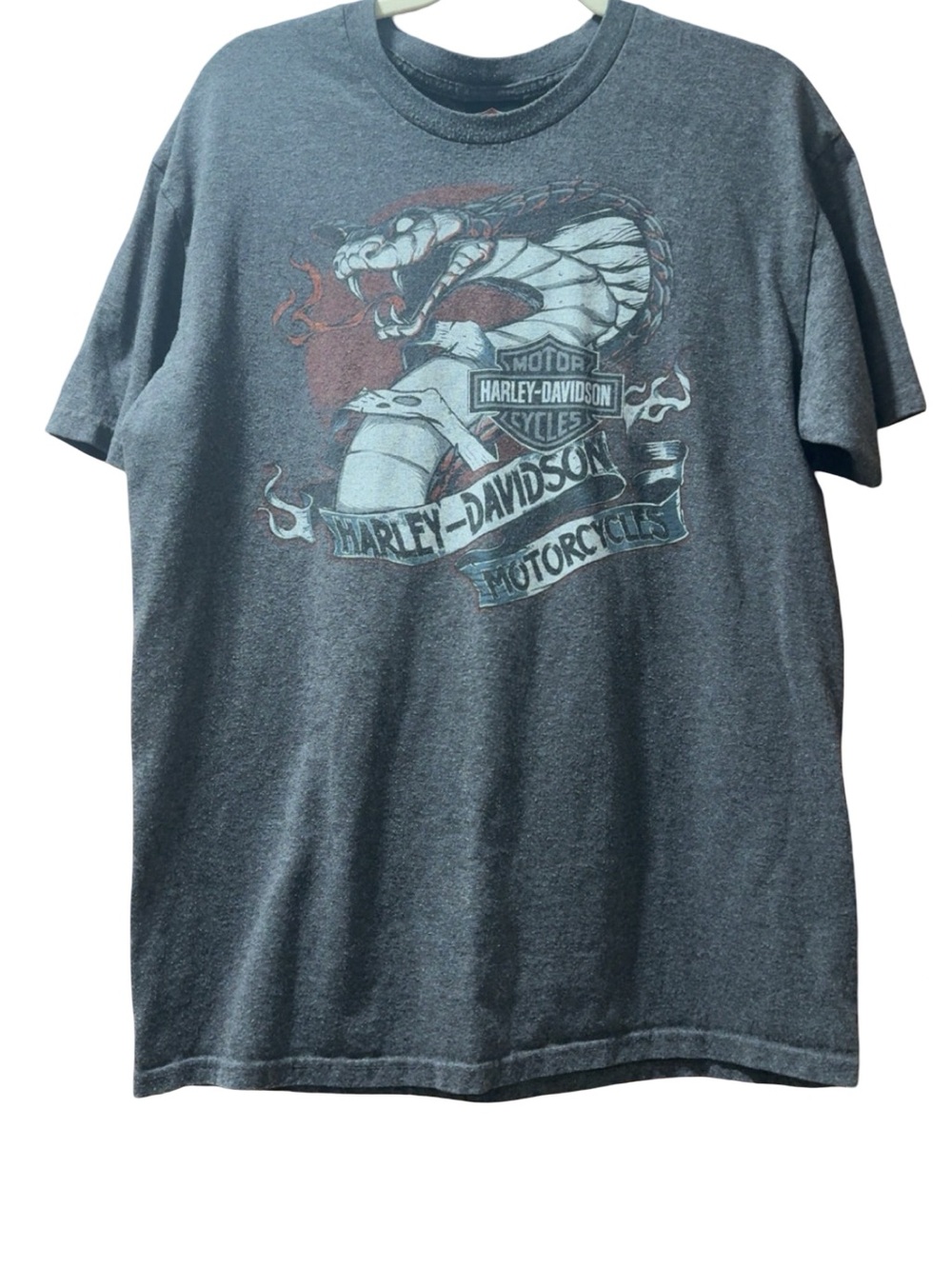 Harley-Davidson Charcoal Short Sleeve Snake Graphic Tee